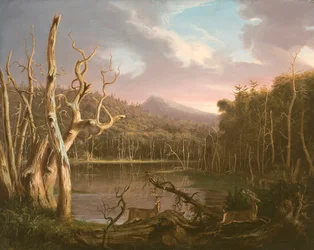See mit toten Bäumen (Catskill)